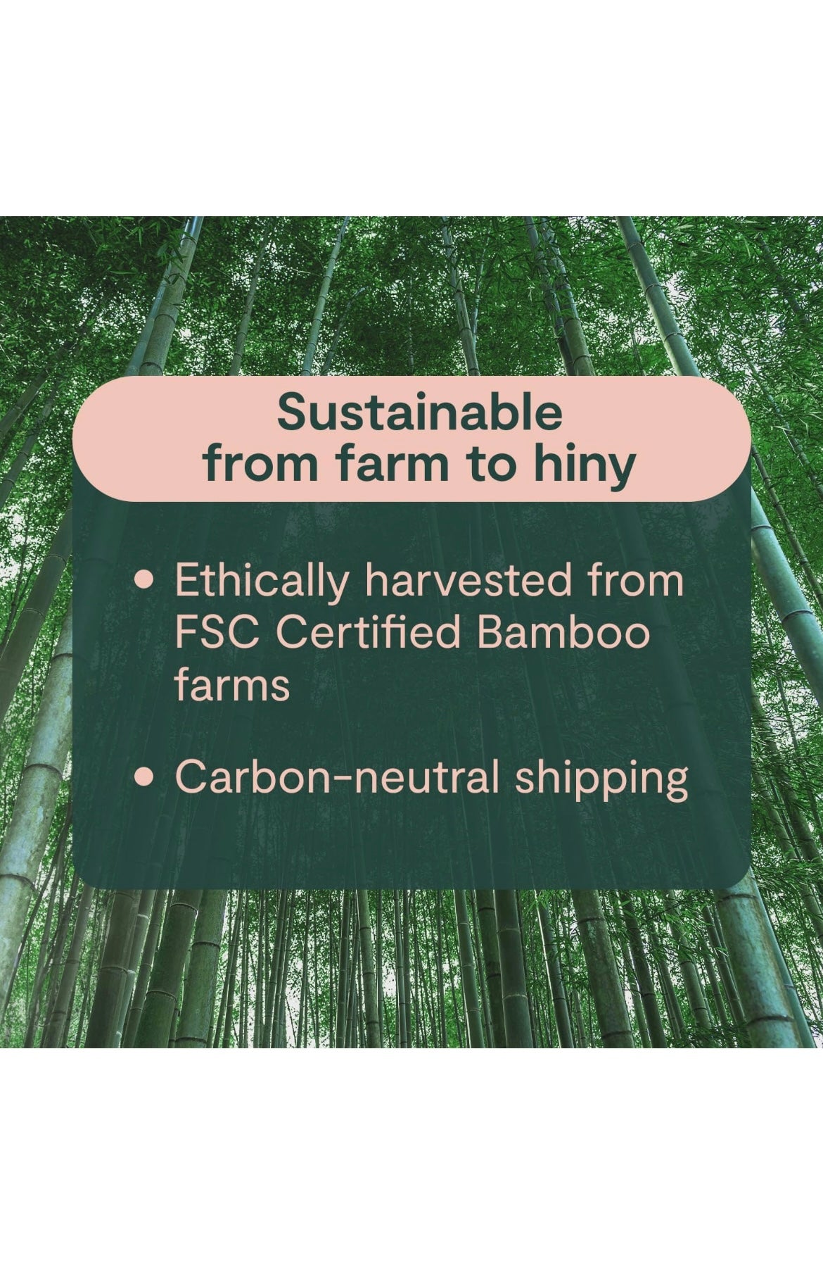 Bamboo Toilet Paper
